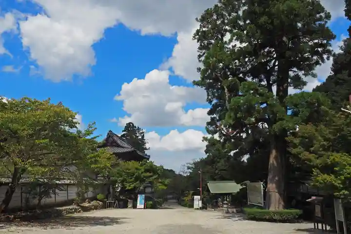 金剛寺(大阪府)