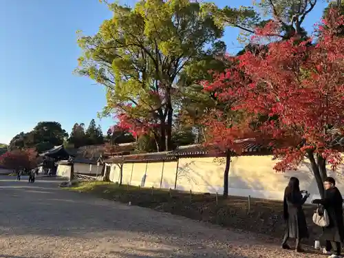 醍醐寺(京都府)
