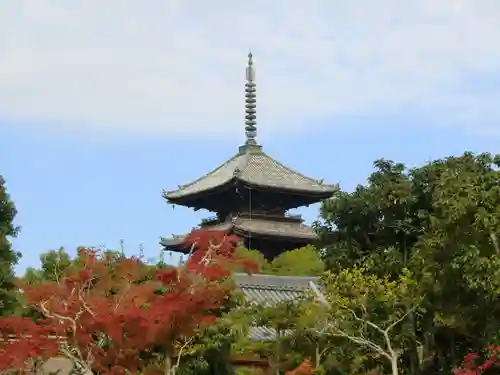 仁和寺の塔