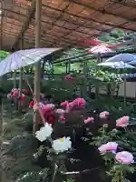 上野東照宮の周辺