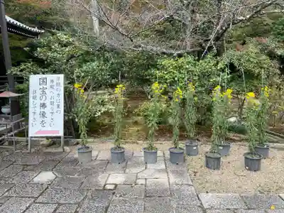 法金剛院(京都府)