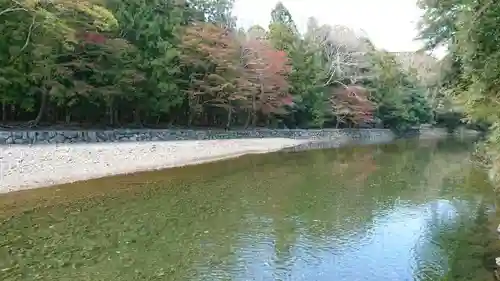 伊勢神宮内宮（皇大神宮）の自然