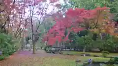 賀茂別雷神社（上賀茂神社）の庭園