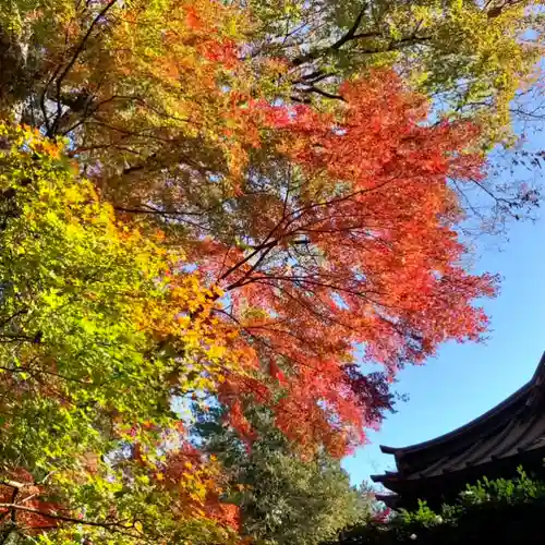 仁玄寺(北海道)