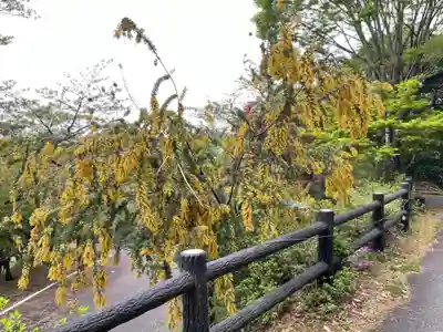日龍峯寺(高澤観音)(美濃清水)(岐阜県)