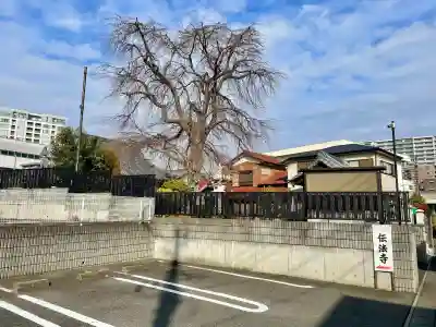 伝法寺の{uncategorized: "未分類", other: "その他", undefined: "問題あり", building: "その他建物", grave: "お墓", sacred_gate: "鳥居", guardian: "狛犬", statue: "像", buddha: "仏像", history: "歴史", nature: "自然", garden: "庭園", animal: "動物", pagoda: "塔", temizu: "手水舎", mountain_gate: "山門・神門", sanctuary: "本殿・本堂", subordinate: "末社・摂社", art: "芸術", scenery: "景色", jizo: "地蔵", ema: "絵馬", goshuin: "御朱印", omikuji: "おみくじ", items: "授与品その他", amulet: "お守り", goshuincho: "御朱印帳", eats: "食事", festival: "お祭り", votive_dance: "神楽", shichigosan: "七五三参", wedding: "結婚式", experience: "体験その他", initially: "初詣", around: "周辺", anti_infection: "感染症対策"}