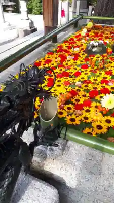 住吉神社の手水舎