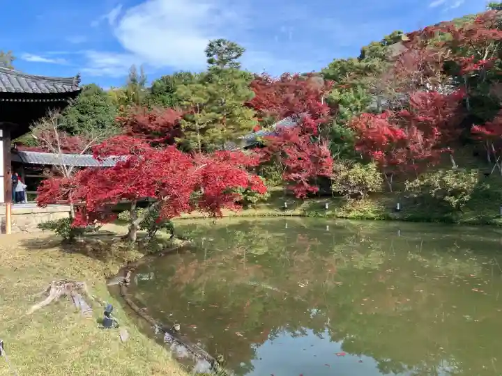 高台寺(高台寿聖禅寺・高臺寺)(京都府)