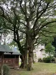 熊野神社(愛媛県)