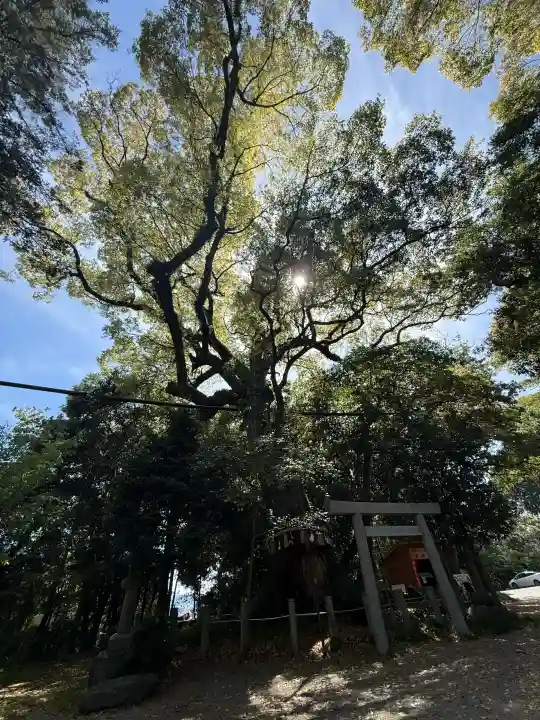 松阪神社の{uncategorized: "未分類", other: "その他", undefined: "問題あり", building: "その他建物", grave: "お墓", sacred_gate: "鳥居", guardian: "狛犬", statue: "像", buddha: "仏像", history: "歴史", nature: "自然", garden: "庭園", animal: "動物", pagoda: "塔", temizu: "手水舎", mountain_gate: "山門・神門", sanctuary: "本殿・本堂", subordinate: "末社・摂社", art: "芸術", scenery: "景色", jizo: "地蔵", ema: "絵馬", goshuin: "御朱印", omikuji: "おみくじ", items: "授与品その他", amulet: "お守り", goshuincho: "御朱印帳", eats: "食事", festival: "お祭り", votive_dance: "神楽", shichigosan: "七五三参", wedding: "結婚式", experience: "体験その他", initially: "初詣", around: "周辺", anti_infection: "感染症対策"}