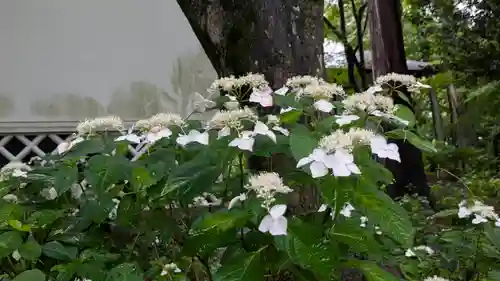 真正極楽寺（真如堂）(京都府)