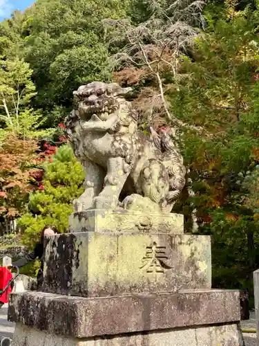 出雲大神宮の狛犬