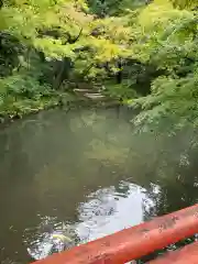 鶴岡八幡宮の庭園