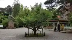 尾山神社の自然