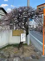 清泰寺の庭園