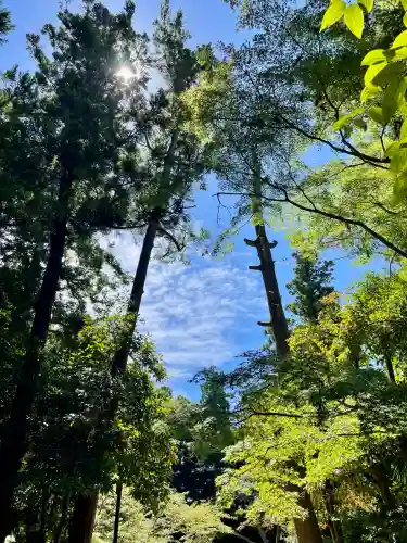 桂昌庵（円覚寺塔頭）(神奈川県)