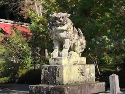 出雲大神宮の狛犬