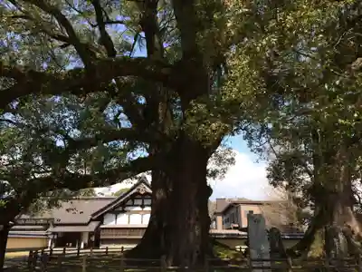 善導寺(福岡県)