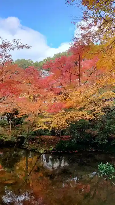 圓光寺(京都府)