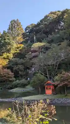 浄瑠璃寺(京都府)