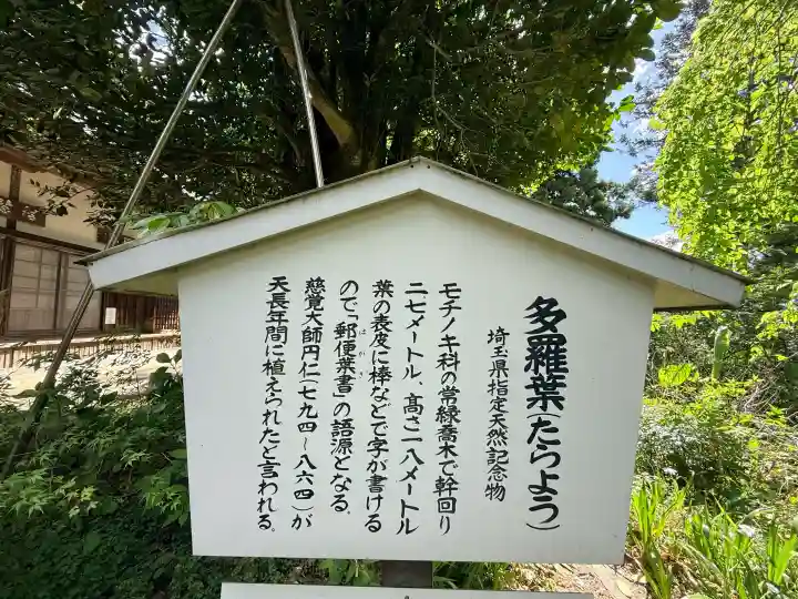 慈光寺の{uncategorized: "未分類", other: "その他", undefined: "問題あり", building: "その他建物", grave: "お墓", sacred_gate: "鳥居", guardian: "狛犬", statue: "像", buddha: "仏像", history: "歴史", nature: "自然", garden: "庭園", animal: "動物", pagoda: "塔", temizu: "手水舎", mountain_gate: "山門・神門", sanctuary: "本殿・本堂", subordinate: "末社・摂社", art: "芸術", scenery: "景色", jizo: "地蔵", ema: "絵馬", goshuin: "御朱印", omikuji: "おみくじ", items: "授与品その他", amulet: "お守り", goshuincho: "御朱印帳", eats: "食事", festival: "お祭り", votive_dance: "神楽", shichigosan: "七五三参", wedding: "結婚式", experience: "体験その他", initially: "初詣", around: "周辺", anti_infection: "感染症対策"}