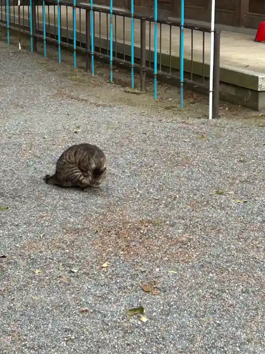 妻沼聖天山歓喜院の動物