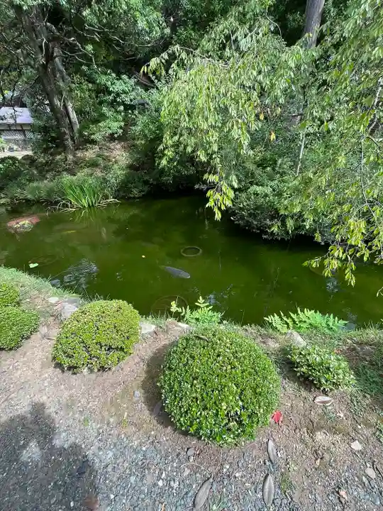 松尾寺(京都府)