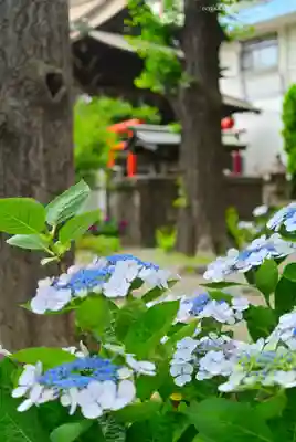 磐井神社(東京都)