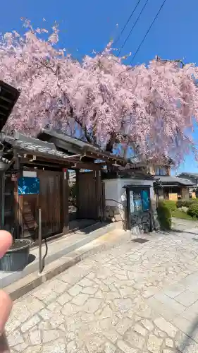 星光院の{uncategorized: "未分類", other: "その他", undefined: "問題あり", building: "その他建物", grave: "お墓", sacred_gate: "鳥居", guardian: "狛犬", statue: "像", buddha: "仏像", history: "歴史", nature: "自然", garden: "庭園", animal: "動物", pagoda: "塔", temizu: "手水舎", mountain_gate: "山門・神門", sanctuary: "本殿・本堂", subordinate: "末社・摂社", art: "芸術", scenery: "景色", jizo: "地蔵", ema: "絵馬", goshuin: "御朱印", omikuji: "おみくじ", items: "授与品その他", amulet: "お守り", goshuincho: "御朱印帳", eats: "食事", festival: "お祭り", votive_dance: "神楽", shichigosan: "七五三参", wedding: "結婚式", experience: "体験その他", initially: "初詣", around: "周辺", anti_infection: "感染症対策"}