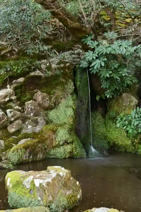 慈照寺(慈照禅寺・銀閣寺)(京都府)