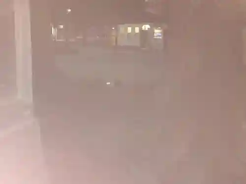 行徳弁天の森21の動物