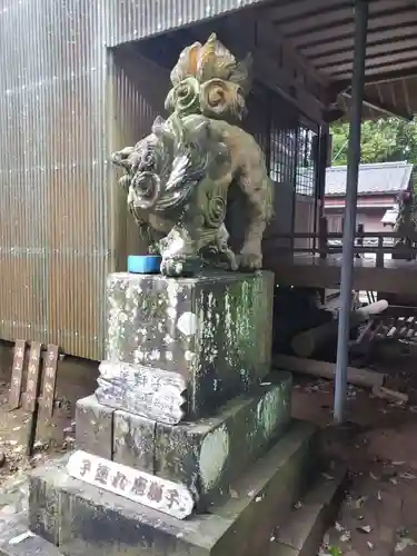  八坂社 (富来神社) の狛犬