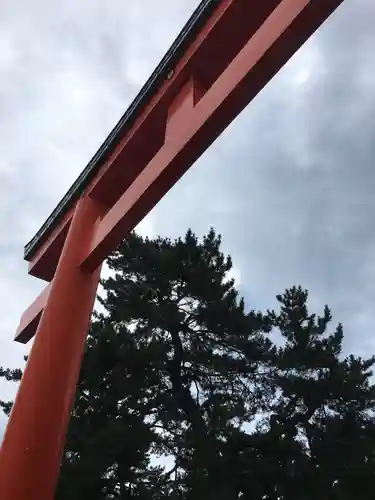 函館護國神社の鳥居