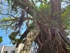 野島神社(宮崎県)