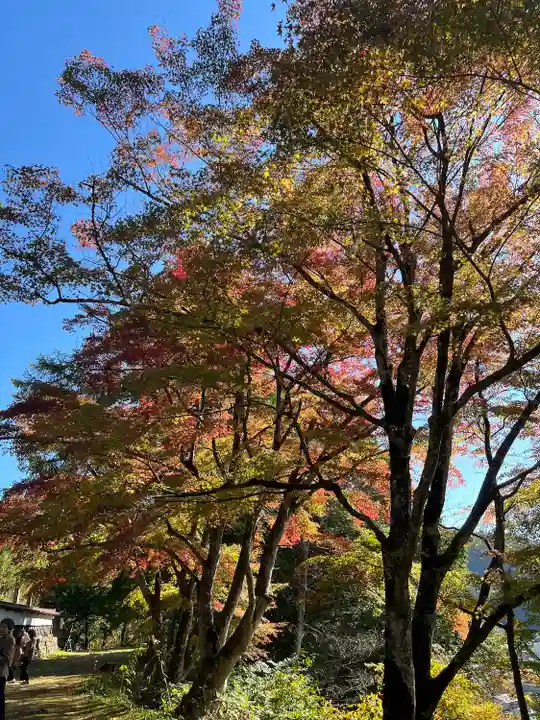 円蔵寺(福島県)