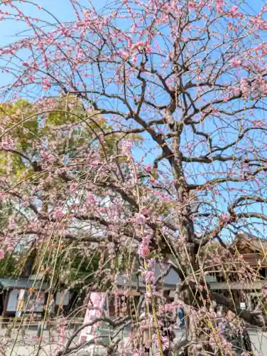 城南宮の{uncategorized: "未分類", other: "その他", undefined: "問題あり", building: "その他建物", grave: "お墓", sacred_gate: "鳥居", guardian: "狛犬", statue: "像", buddha: "仏像", history: "歴史", nature: "自然", garden: "庭園", animal: "動物", pagoda: "塔", temizu: "手水舎", mountain_gate: "山門・神門", sanctuary: "本殿・本堂", subordinate: "末社・摂社", art: "芸術", scenery: "景色", jizo: "地蔵", ema: "絵馬", goshuin: "御朱印", omikuji: "おみくじ", items: "授与品その他", amulet: "お守り", goshuincho: "御朱印帳", eats: "食事", festival: "お祭り", votive_dance: "神楽", shichigosan: "七五三参", wedding: "結婚式", experience: "体験その他", initially: "初詣", around: "周辺", anti_infection: "感染症対策"}