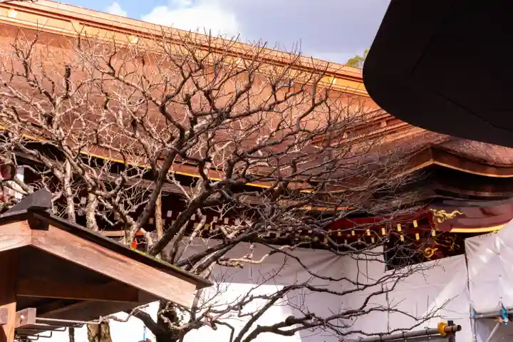 太宰府天満宮(福岡県)