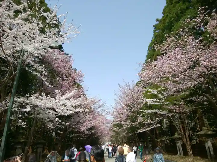北海道神宮の景色
