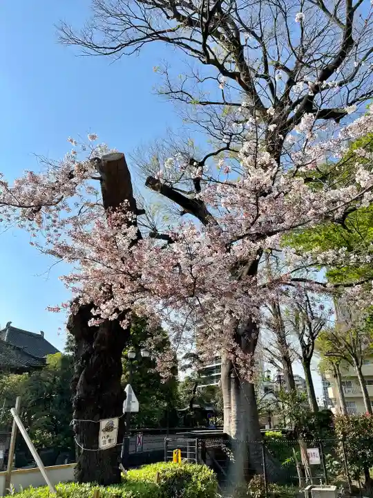 玉蔵院(埼玉県)