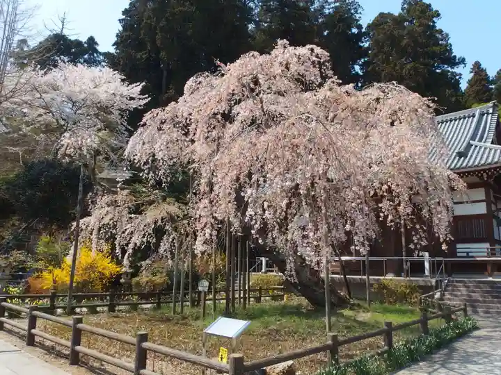 太山寺(栃木県)