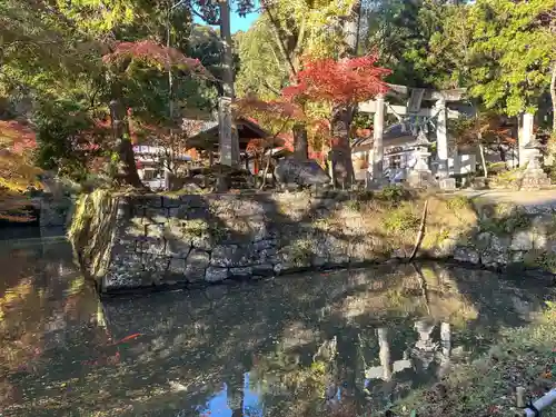 八幡神社松平東照宮(愛知県)