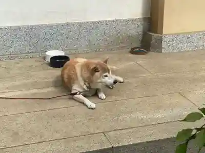 麟祥院(東京都)
