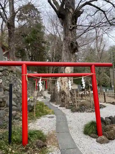山名八幡宮(群馬県)