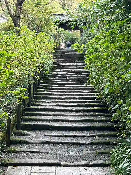 明月院(神奈川県)