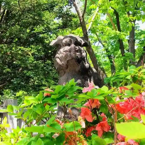 彌彦神社　(伊夜日子神社)の狛犬