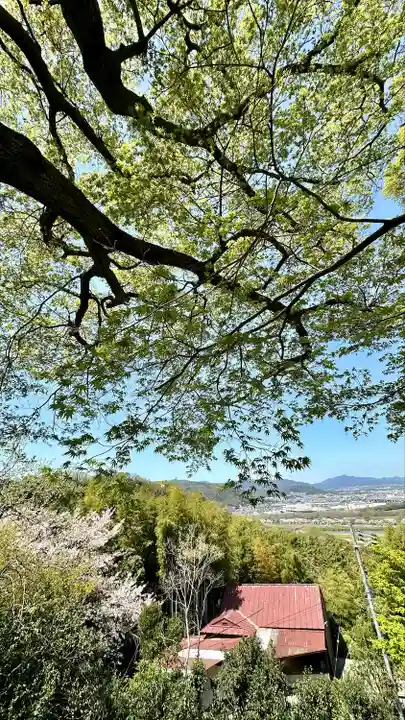 石清水八幡宮(京都府)