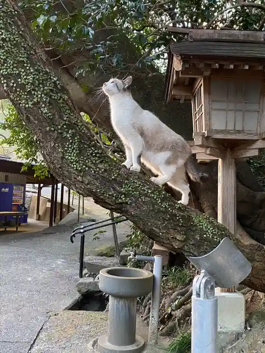 八大龍王水神(宮崎県)