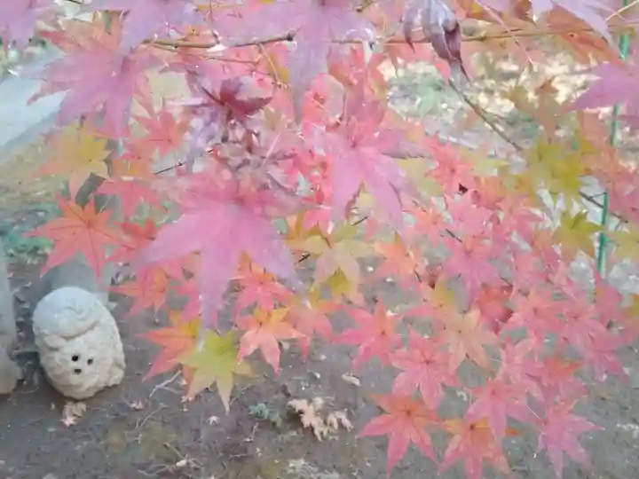法華寺(神奈川県)