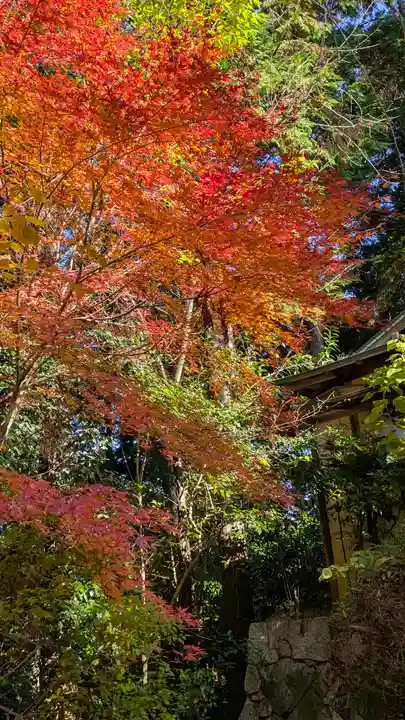 常照寺(京都府)