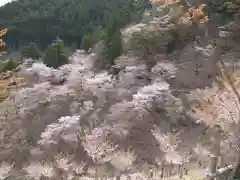 金峯神社の自然